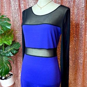 Forever 21 mesh long sleeve color block dress